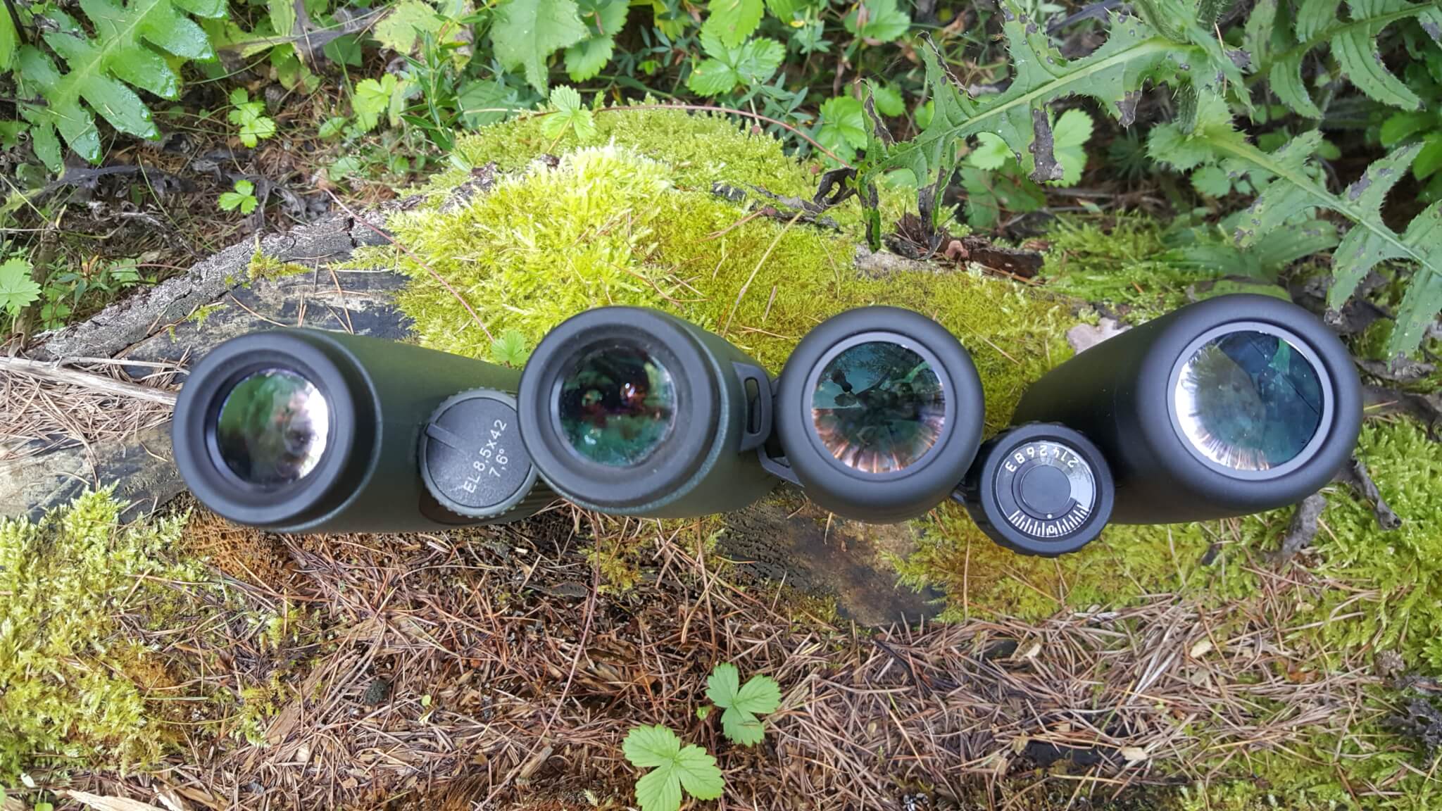 Gli oculari del Leica Noctivid e dello Swarovski EL Swarovision