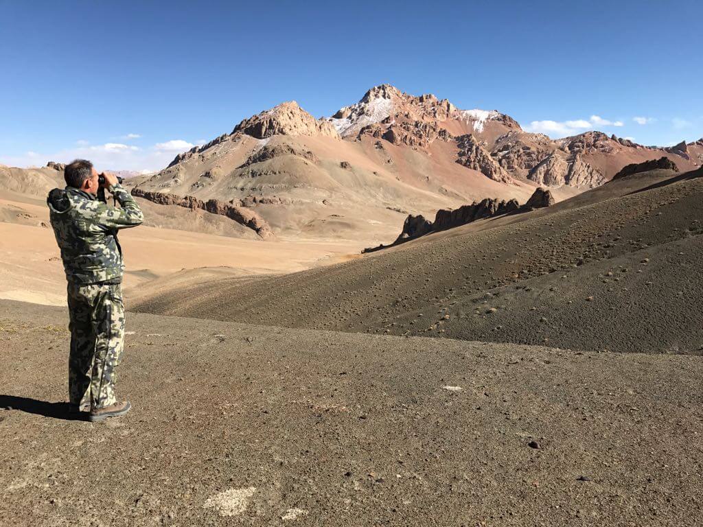 Stefano scandaglia la montagna con il suo Geovid 8x42 HD-B alla ricerca dei branchi