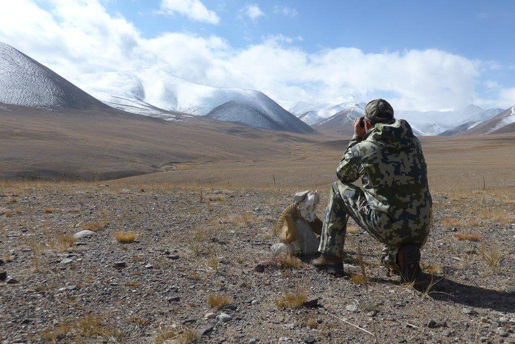 Stefano scandaglia la montagna con il suo Geovid 8x42 HD-B alla ricerca dei branchi