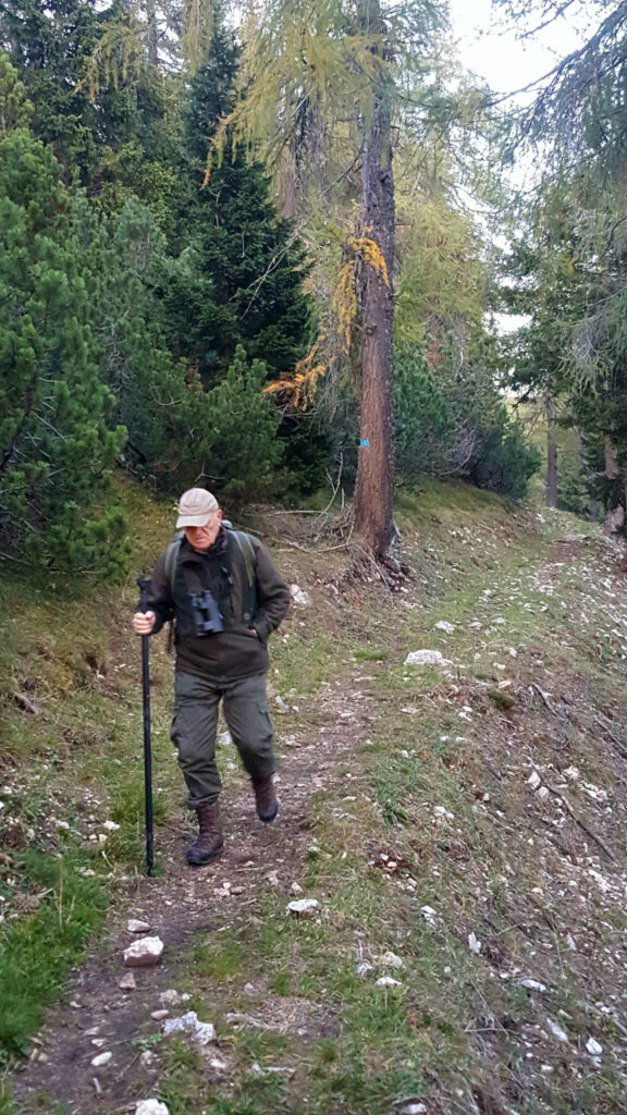 Ci dirigiamo rapidamente verso la valle più vicina alla malga, dove avremo un'ottima visuale se riusciremo ad arrivare prima che faccia notte