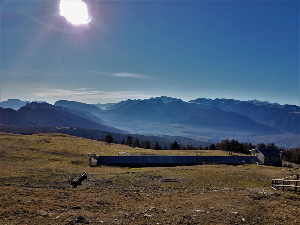 La malga di Smarano domina la val di Non, dal monte Peller sopra la val di Tovel a tutto il  gruppo del Brenta. Le vacche sono tornate a valle già da settimane. In fondo al prato, l'anno scorso, avevo sorpreso uno jahrling che emergeva dalla nebbia in un'alba di inizio novembre.