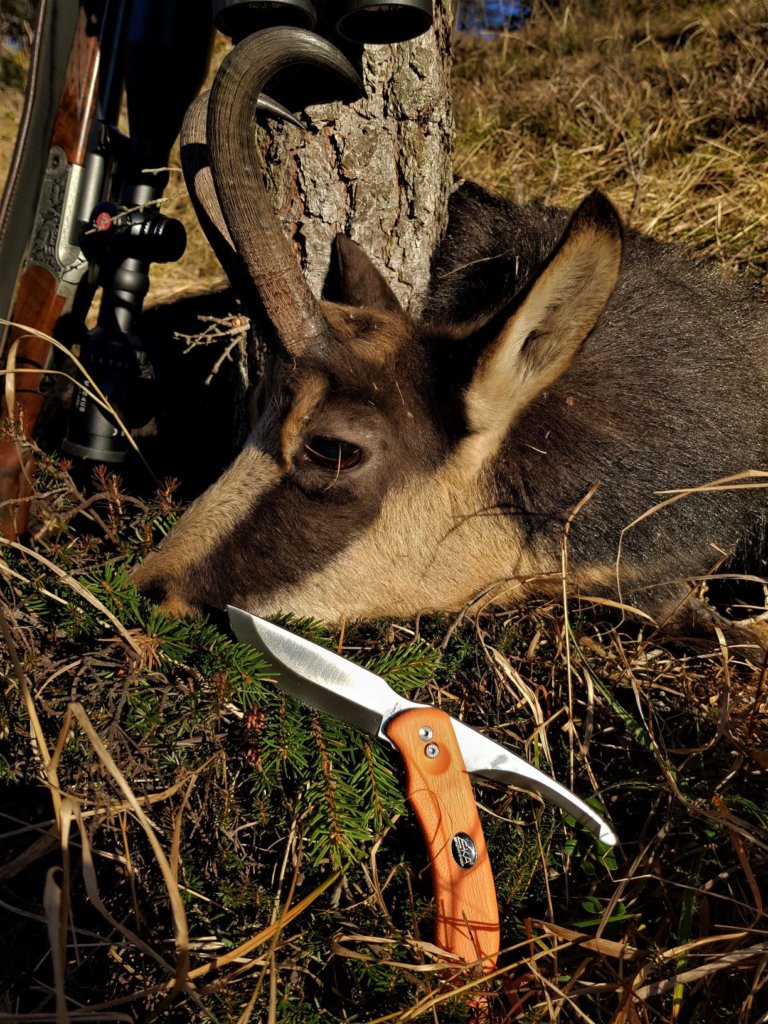 Il camoscio appena abbattuto e EKA Swingblade arancione, pronto a rendersi utile