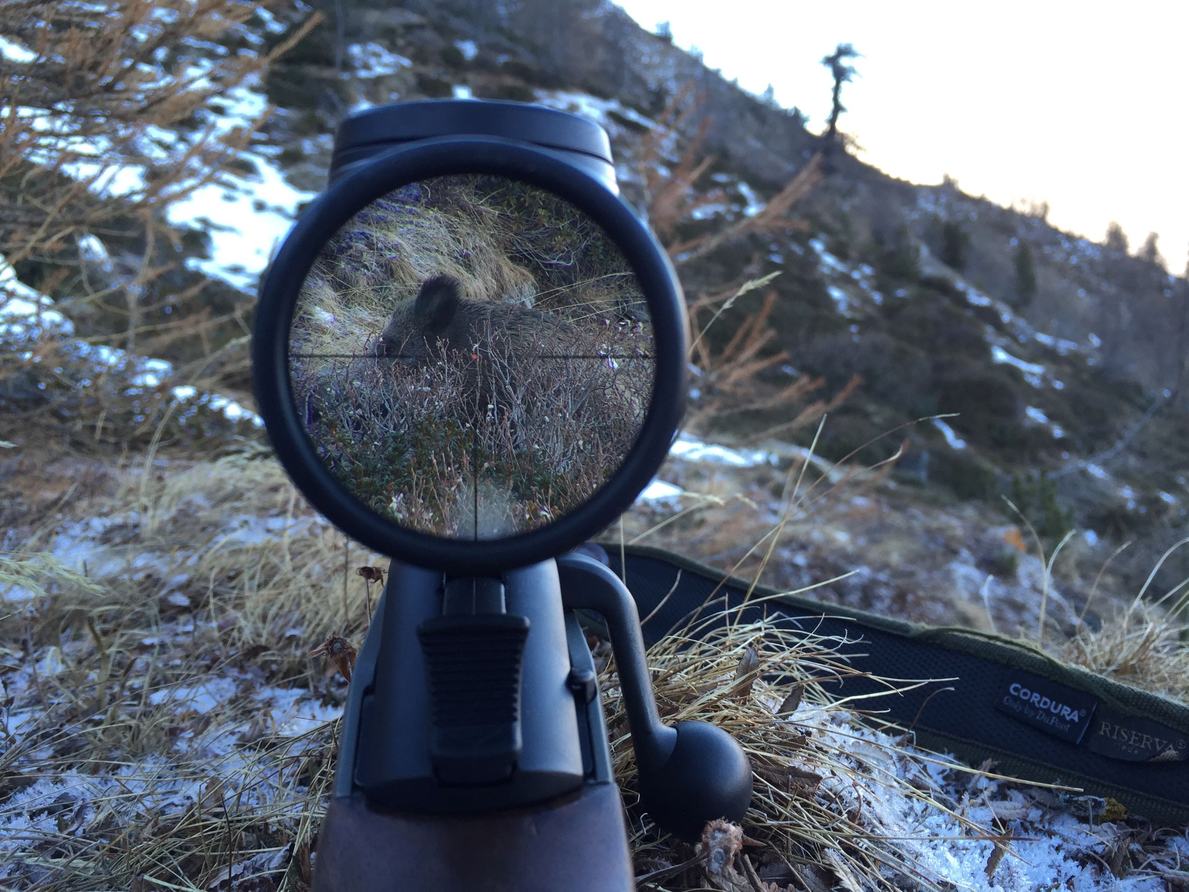 In condizioni di luce scarsa, il miglior cannocchiale da caccia- il Leica Magnus 2.4-16x56 - offre luminosità pari a quella percepita nell'ambiente a occhio nudo, contrasti perfetti e sagoma dell'animale che si stacca dallo sfondo, immagine perfetta e senza riflessi fino ai bordi del campo visivo, come se tra l'occhio e l'animale non ci fosse nulla.