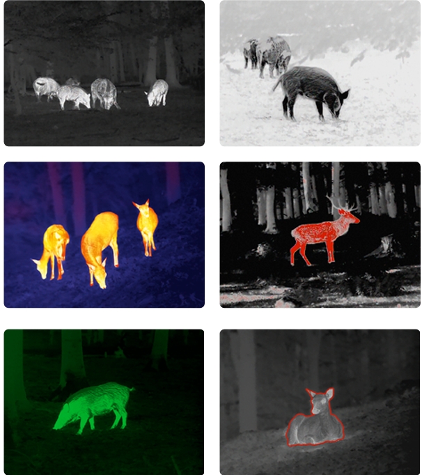 Le 6 modalità di colore dell'immagine del Calonox 2
