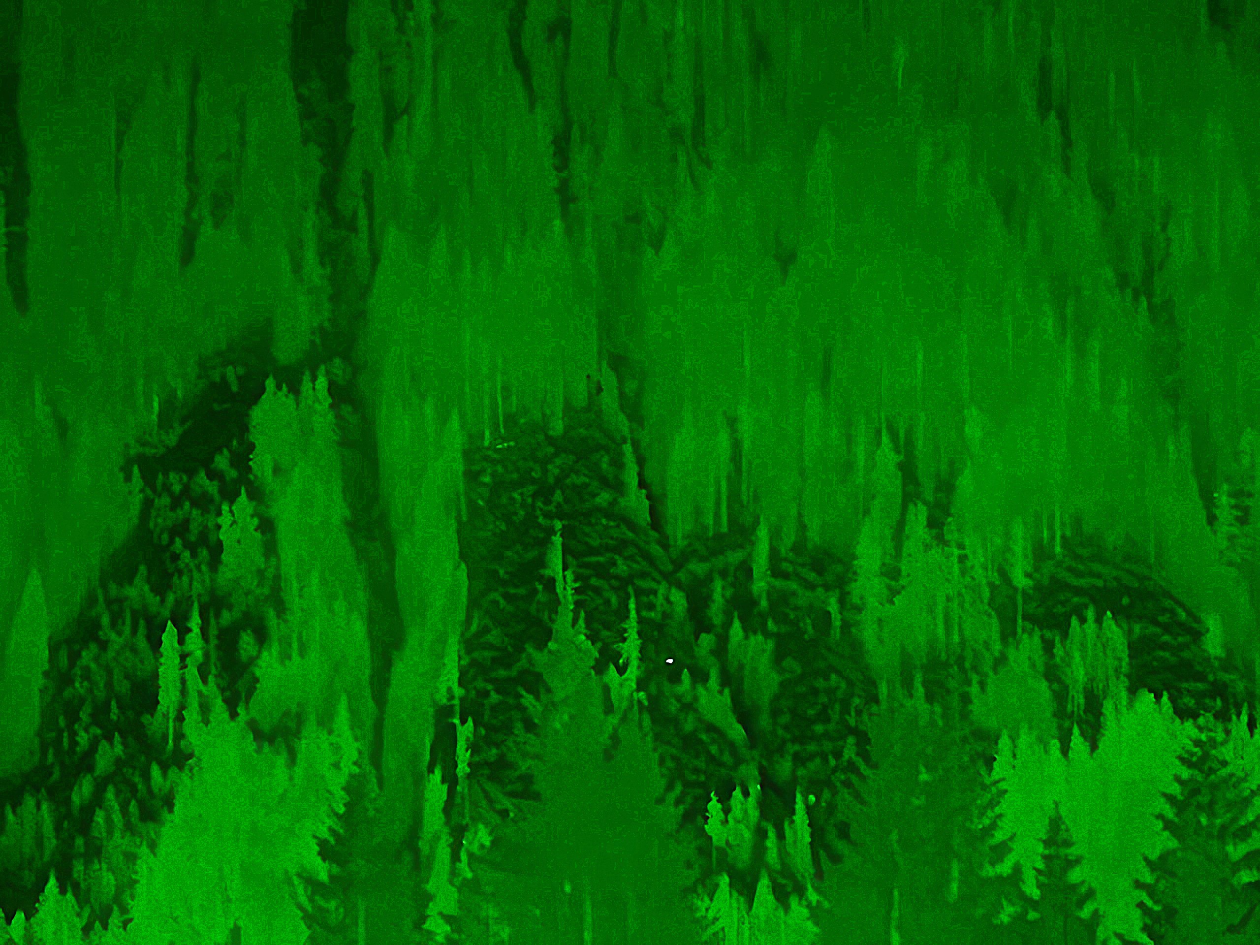 Un animale, probabilmente un cervo, a circa 2km in piena notte, ritratto in mezzo a rododendri, abeti e larici della val Sarentino (BZ). La modalità verde del Calonox 2 porta agli occhi un'immagine estremamente riposante ed è particolarmente apprezzabile nella notte, quando il contrasto tra la luce del visore e il buio circostante disturba notevolmente la vista.