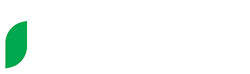 Caccia a palla