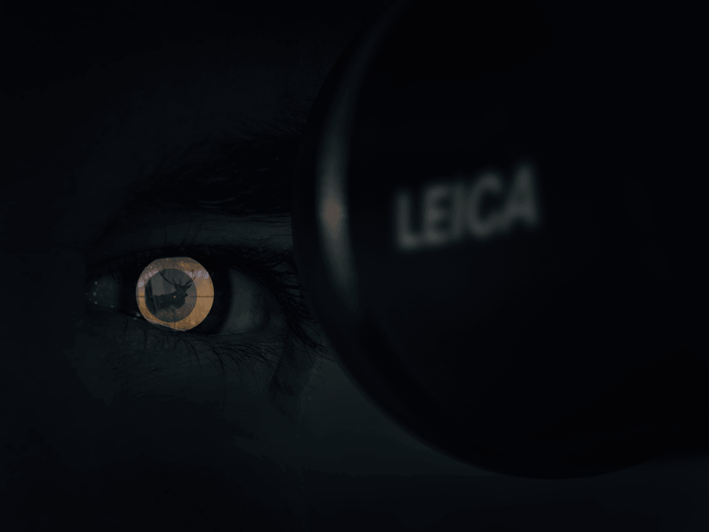 L'enorme spazio utile per mirare di un Leica Fortis 56 proiettato sulla pupilla umana, che può concentrarsi sulla mira senza comunicare stress al cervello.