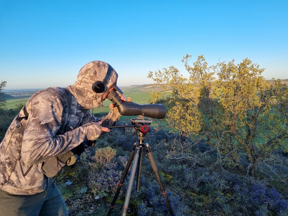 Andrea Cavaglià non resiste alla tentazione, per un attimo molla la telecamera e si gode un capriolo stupendo attraverso il suo Leica Apo Televid con cui filma (con l'I-phone) tutti gli abbattimenti che vediamo nei suoi film.
